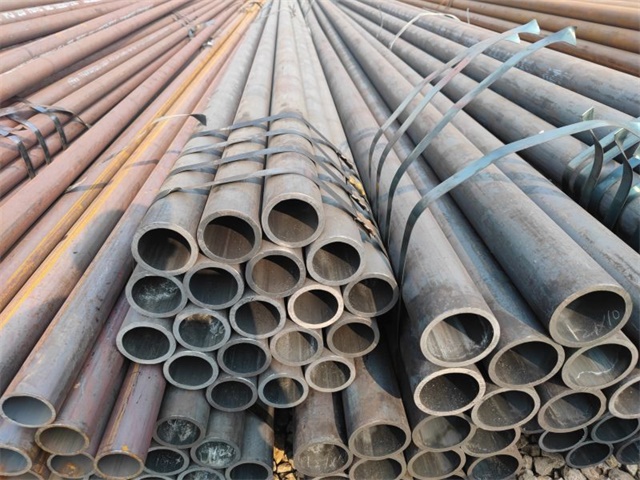 IMG_20230401_153821.jpg IMG_20230401_153821.jpg